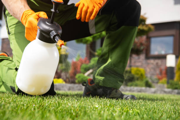 Best Cockroach Control Services  in Lake Forest Park, WA