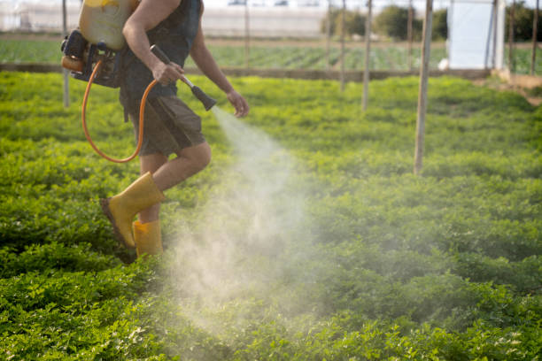 Best Pest Removal Services  in Lake Forest Park, WA