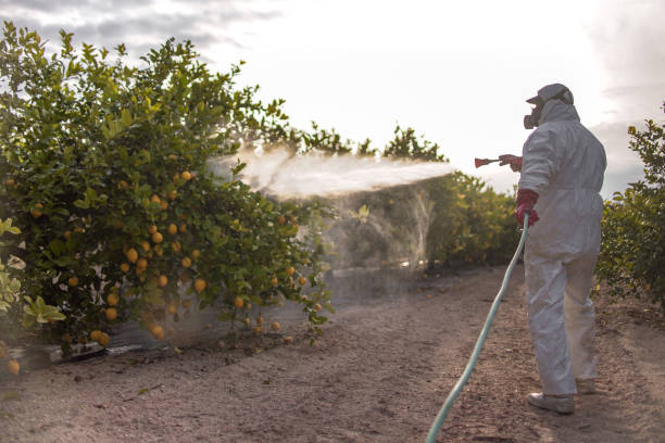 Best Pest Prevention Services  in Lake Forest Park, WA