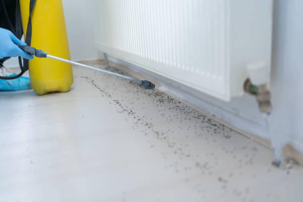 Professional Pest Control in Lake Forest Park, WA